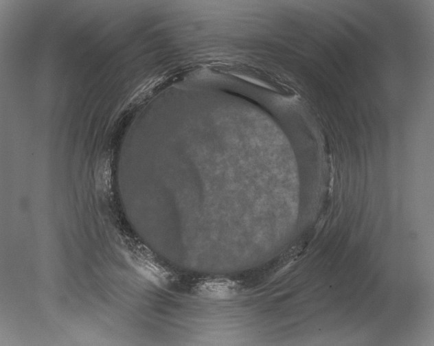 X0000080740595200701051146