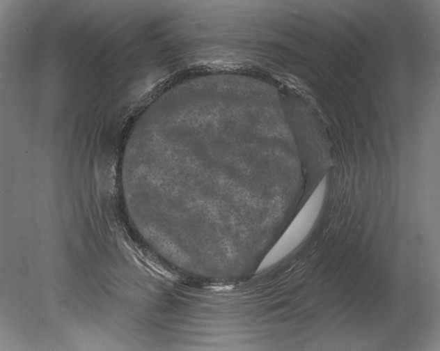 X0000080740596200701051146