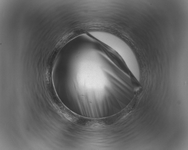 X0000080740597200701051146