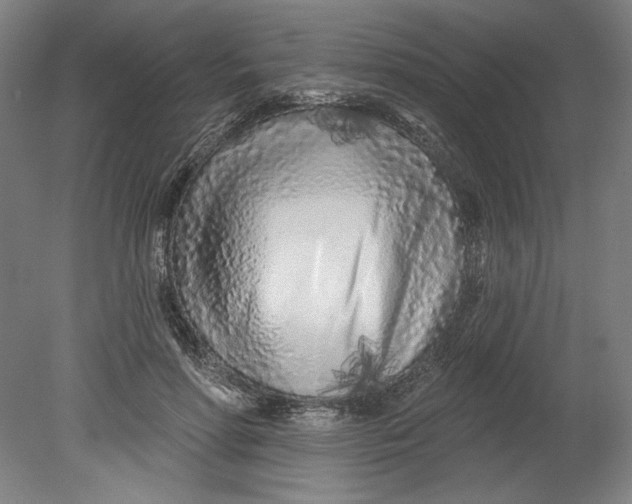 X0000080740598200701051146