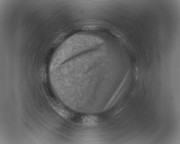 X0000080740599200701051146