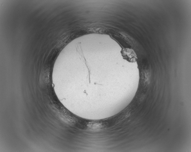 X0000080740602200701051146