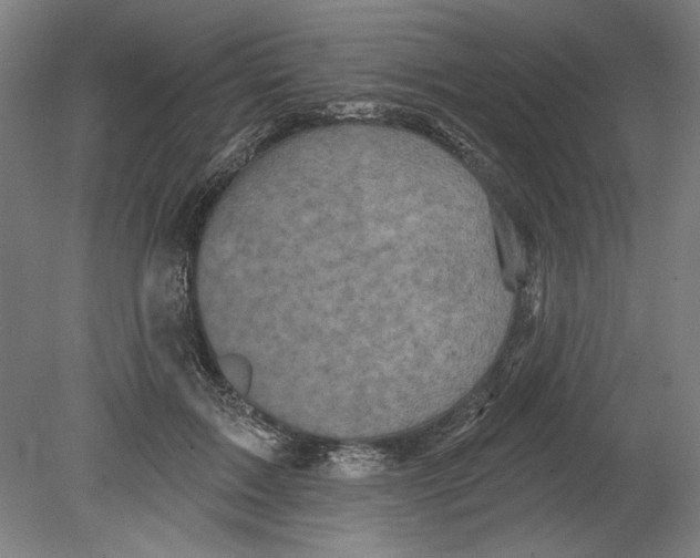 X0000080740603200701051146