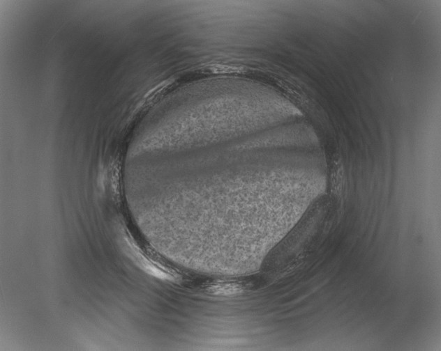 X0000080740604200701051146