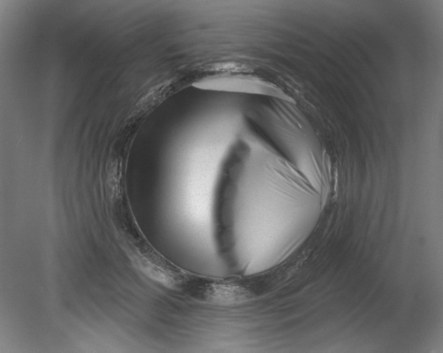 X0000080740605200701051146