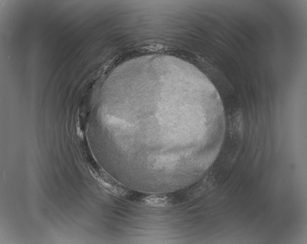 X0000080740606200701051146