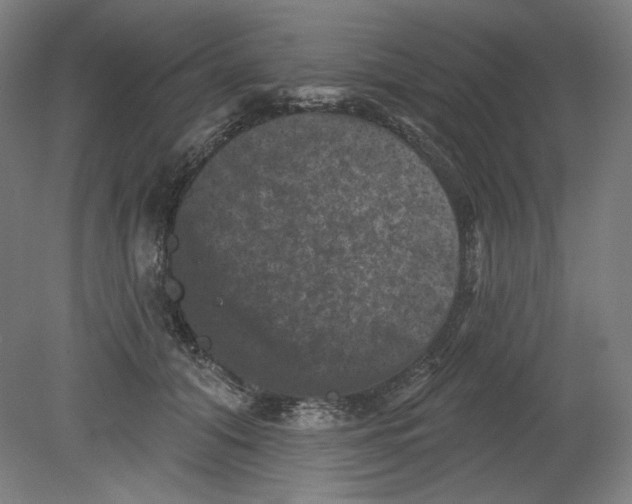 X0000080740608200701051146