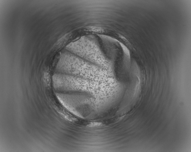 X0000080740609200701051146