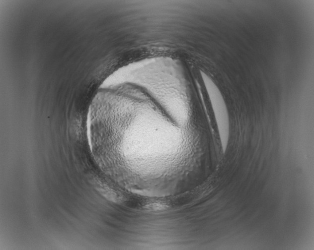 X0000080740610200701051146