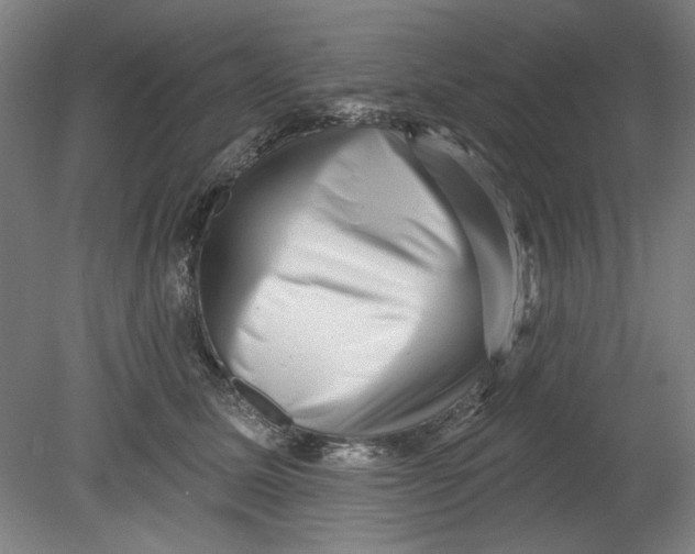 X0000080740611200701051146