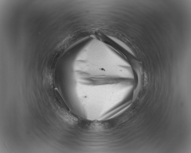 X0000080740613200701051146