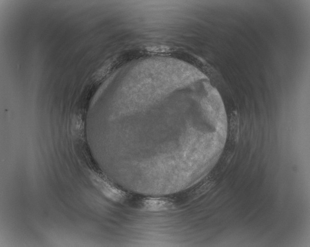 X0000080740614200701051146