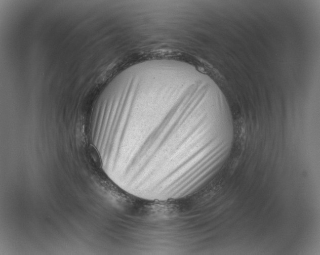 X0000080740615200701051146