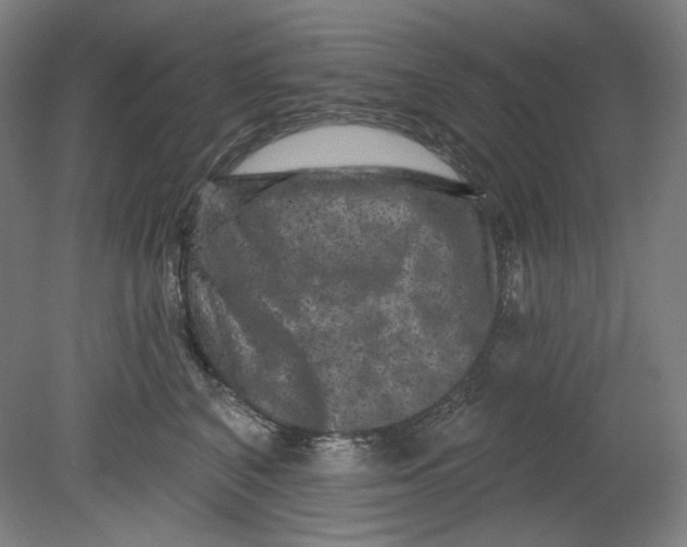 X0000080740616200701051146