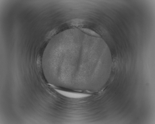 X0000080740623200701051146