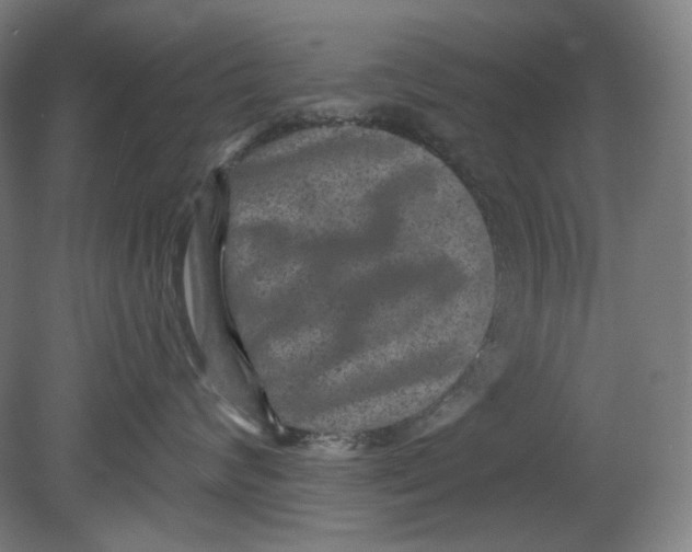 X0000080740624200701051146