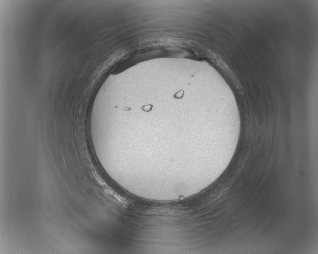 X0000080740625200701051145