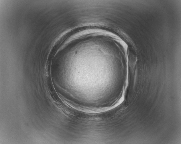 X0000080740628200701051145