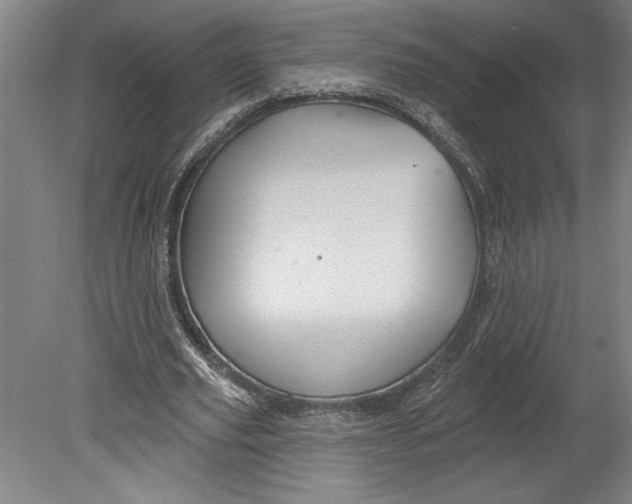 X0000080740629200701051145