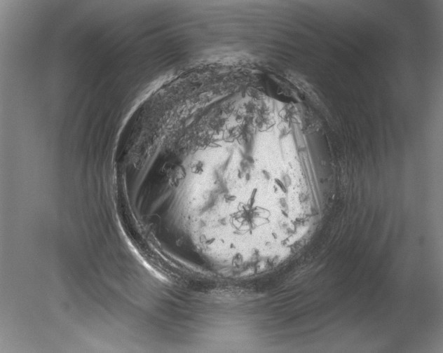 X0000080740630200701051145