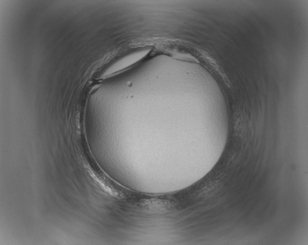 X0000080740633200701051145