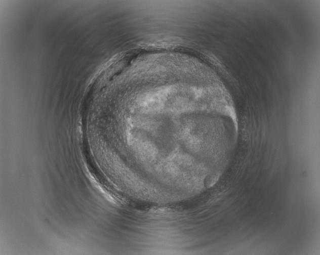 X0000080740634200701051145