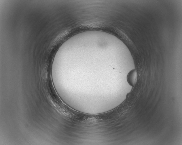 X0000080740635200701051145