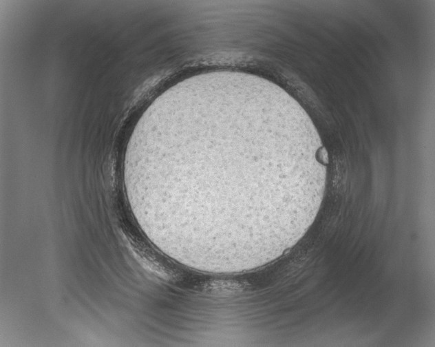 X0000080740636200701051145