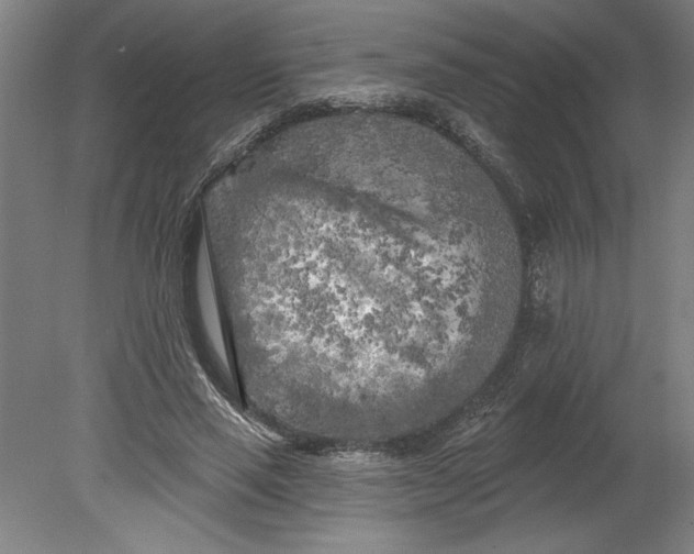 X0000080740637200701051145