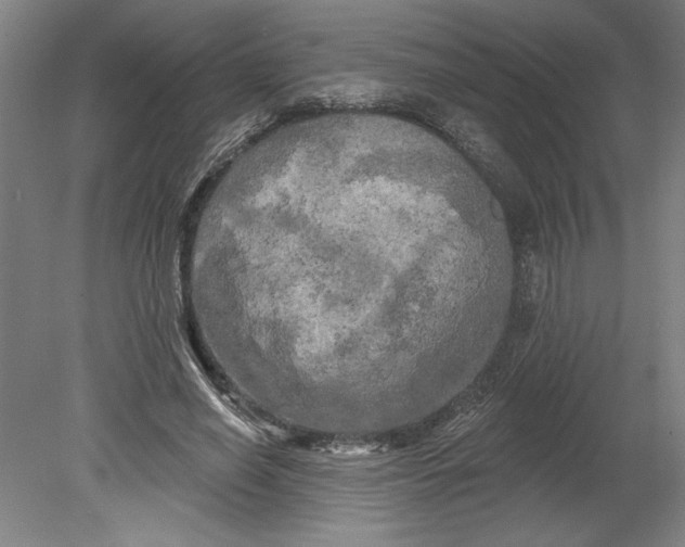 X0000080740638200701051145