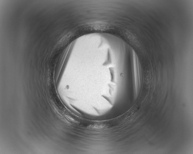 X0000080740639200701051145