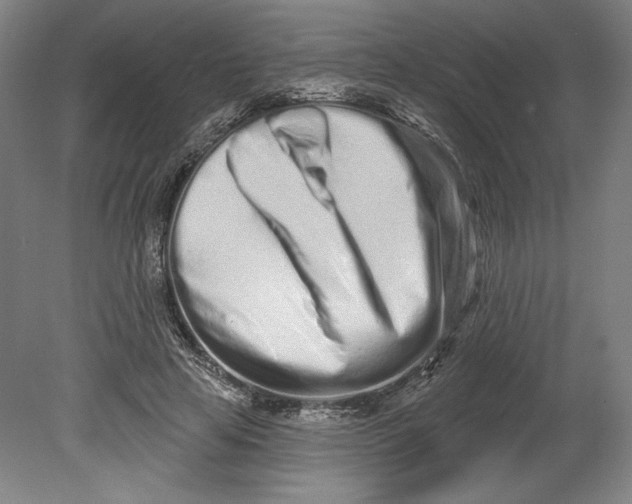 X0000080740641200701051145