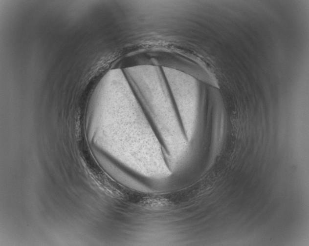 X0000080740642200701051145