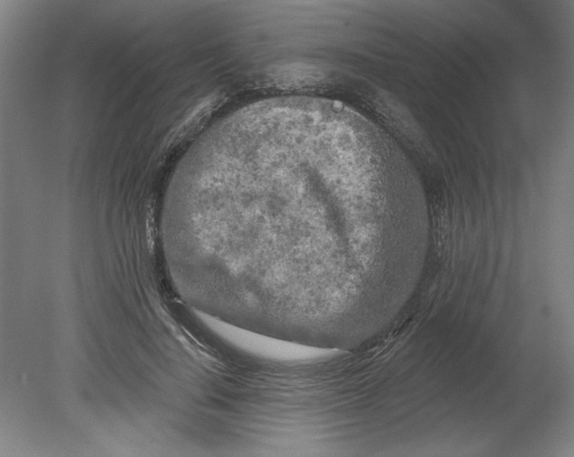 X0000080740644200701051145