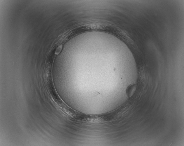 X0000080740645200701051145