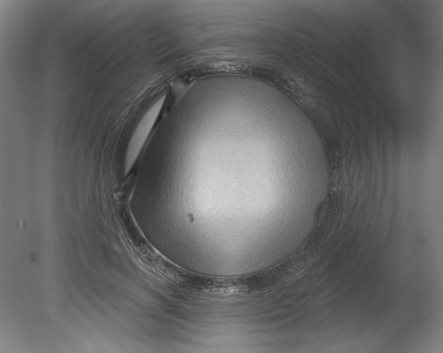 X0000080740646200701051145