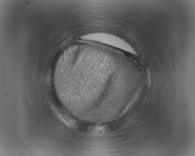 X0000080740647200701051145