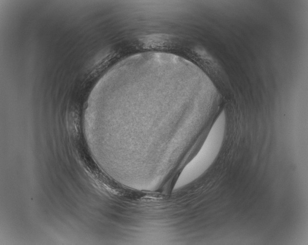 X0000080740648200701051145