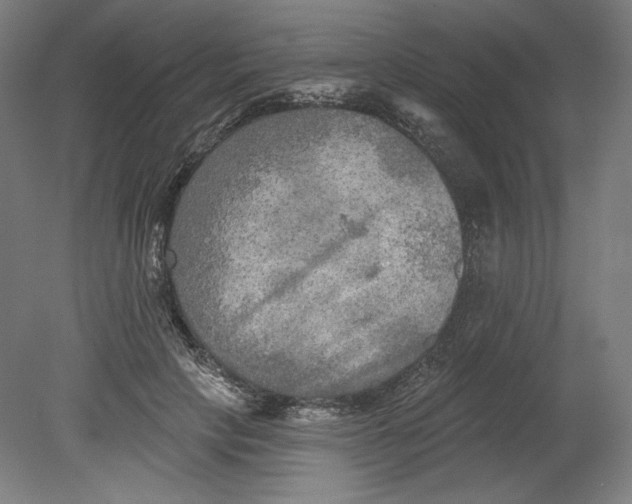 X0000080740649200701051145