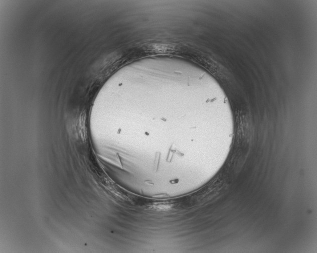 X0000080740651200701051146