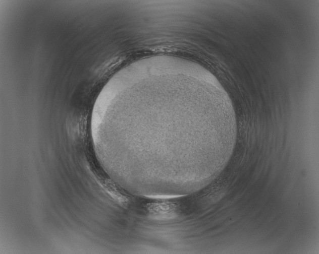 X0000080740652200701051146