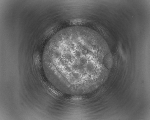 X0000080740653200701051146