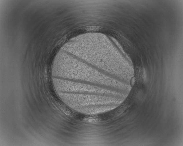 X0000080740655200701051146