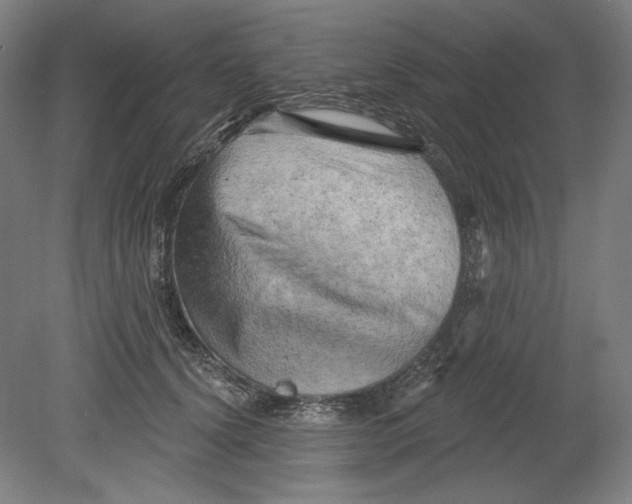 X0000080740656200701051146