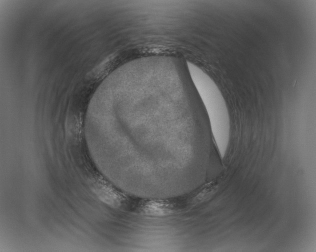 X0000080740657200701051146