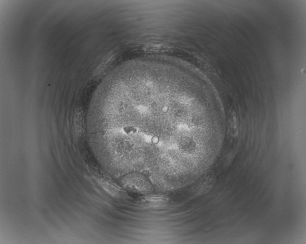 X0000080740659200701051146