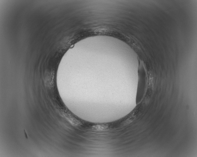 X0000080740660200701051146