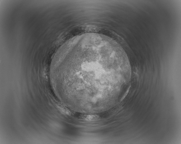 X0000080740663200701051146