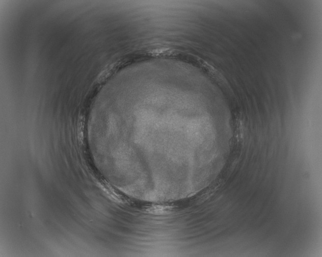 X0000080740664200701051146