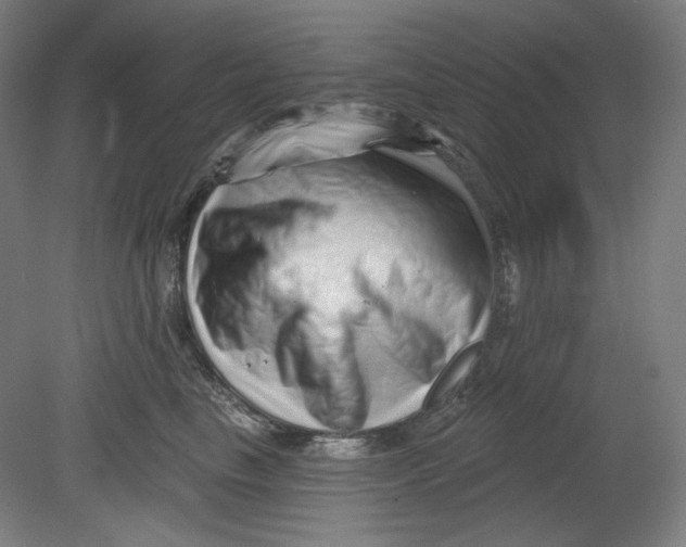 X0000080740665200701051146